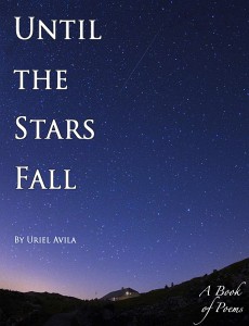 Until the Stars Fall - Front Cover